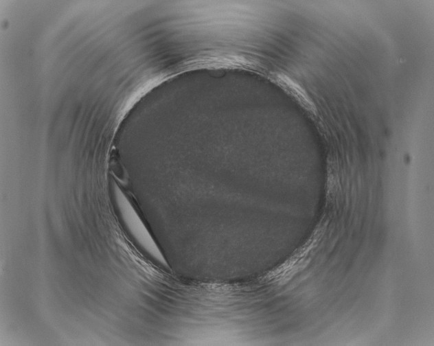 X0000087061226200705091152