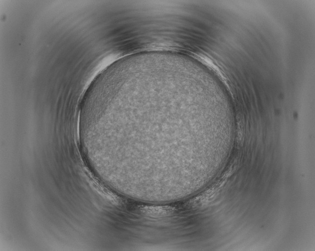 X0000087061227200705091152