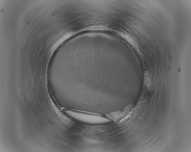 X0000087061229200705091152