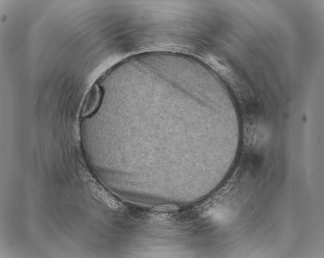 X0000087061230200705091152