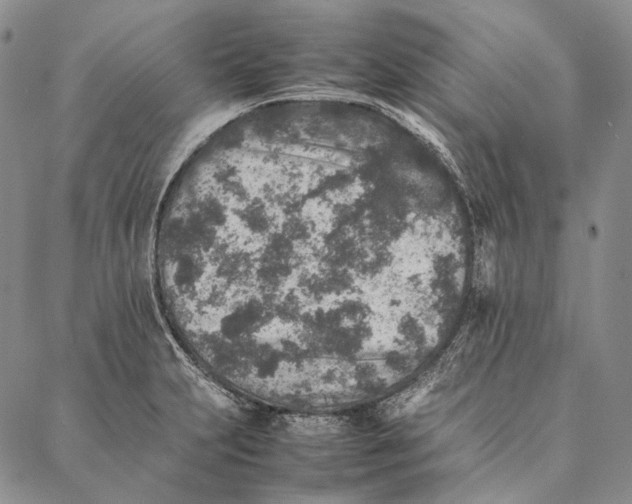 X0000087061231200705091152