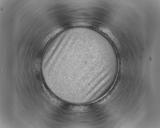 X0000087061233200705091152