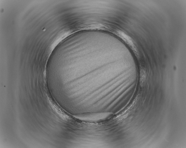 X0000087061234200705091152