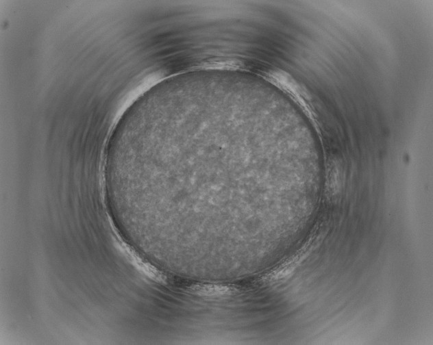 X0000087061235200705091152