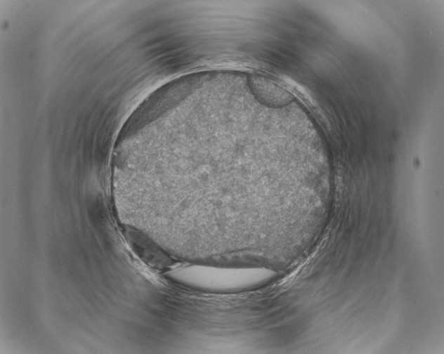 X0000087061236200705091152