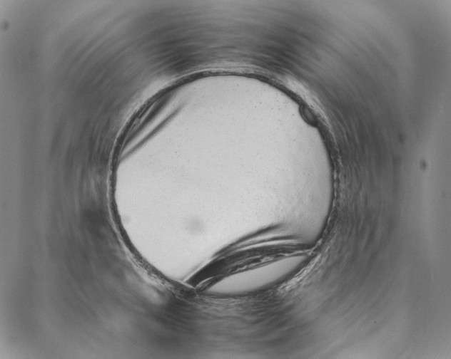 X0000087061237200705091152