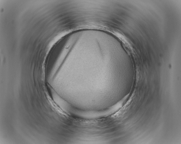 X0000087061238200705091152