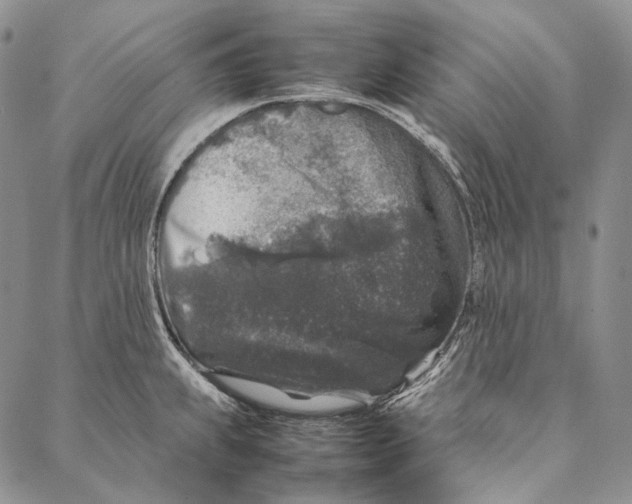 X0000087061239200705091152