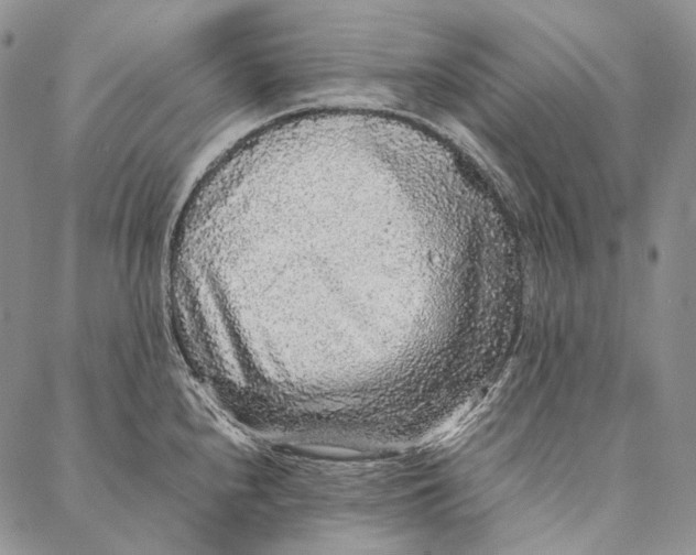 X0000087061240200705091152