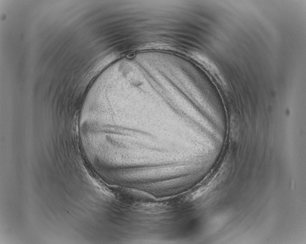 X0000087061241200705091152