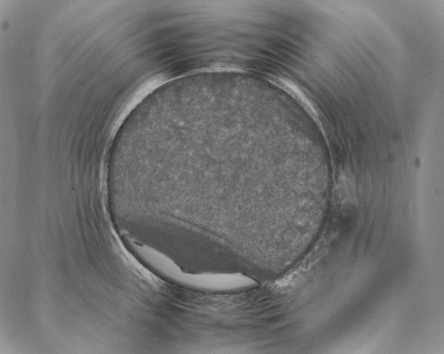 X0000087061243200705091152