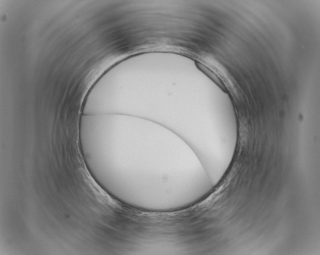 X0000087061244200705091152