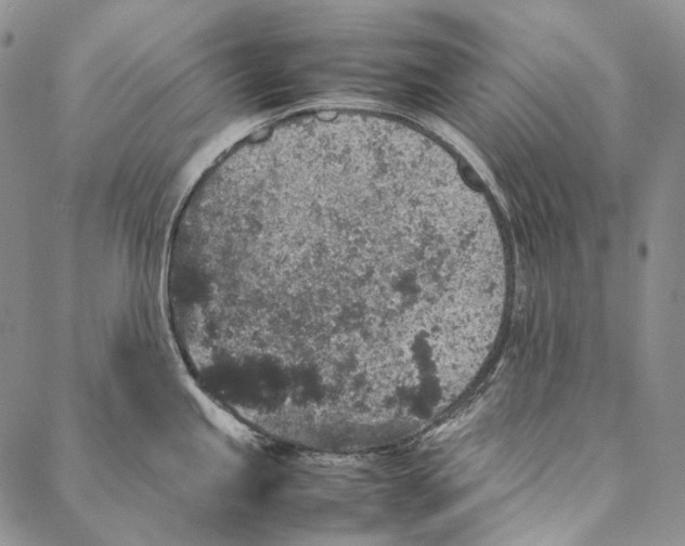 X0000087061245200705091152