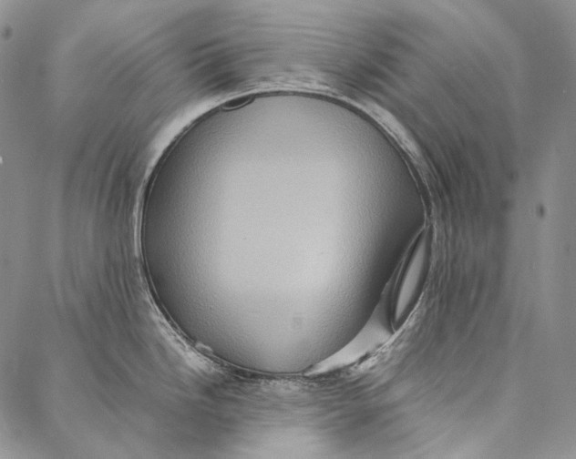 X0000087061246200705091152