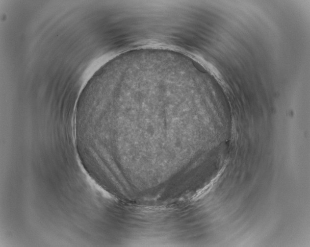 X0000087061247200705091153