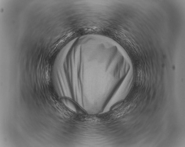 X0000087061250200705091152