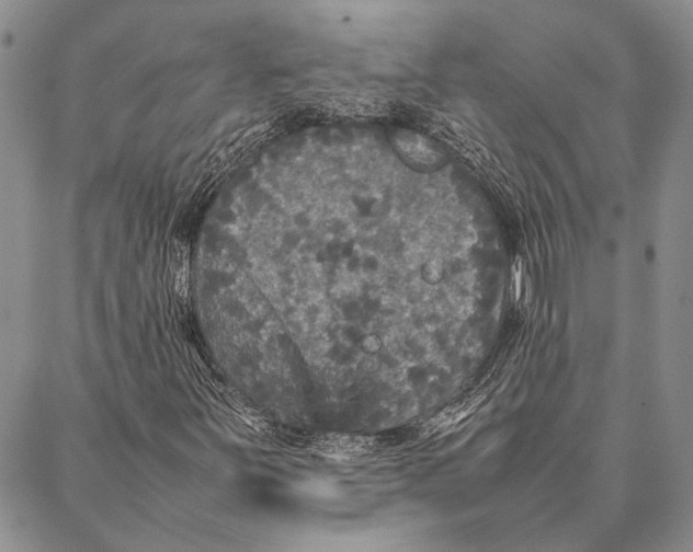 X0000087061251200705091152