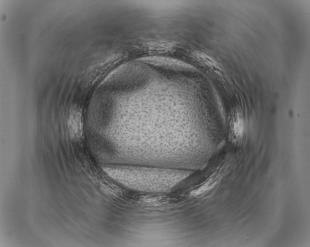 X0000087061252200705091152