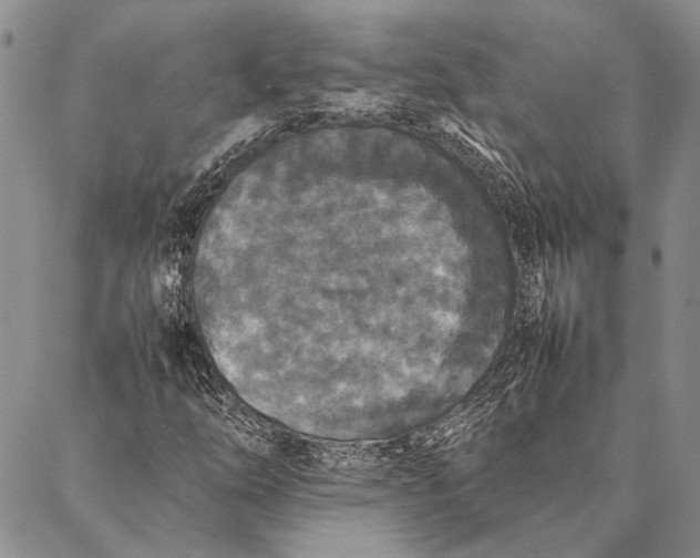 X0000087061254200705091152