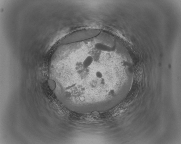 X0000087061255200705091152