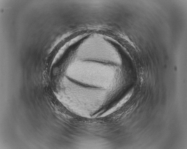 X0000087061256200705091152