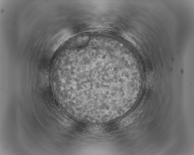 X0000087061259200705091152