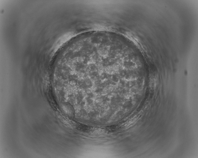 X0000087061263200705091152