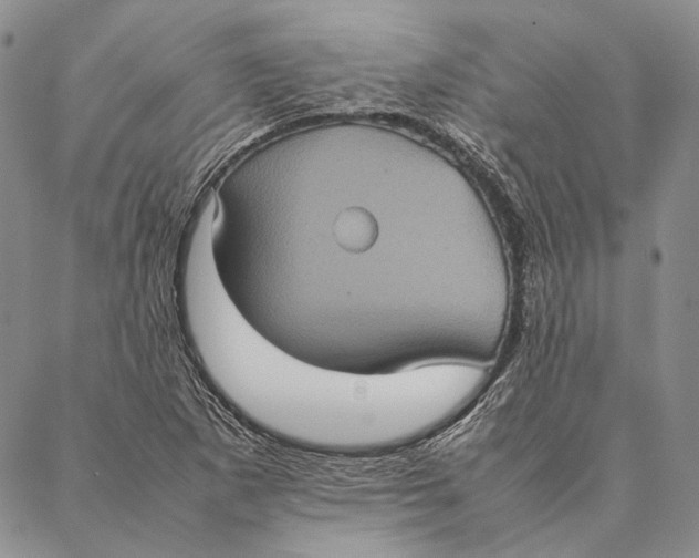 X0000087061265200705091151