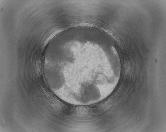 X0000087061266200705091151