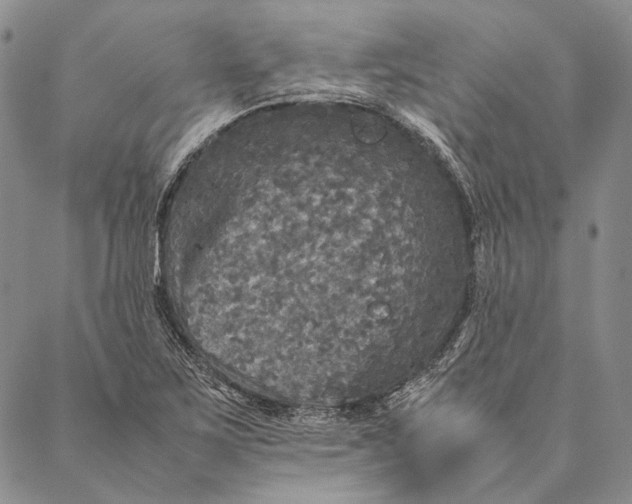 X0000087061267200705091151