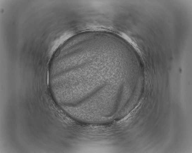 X0000087061269200705091151