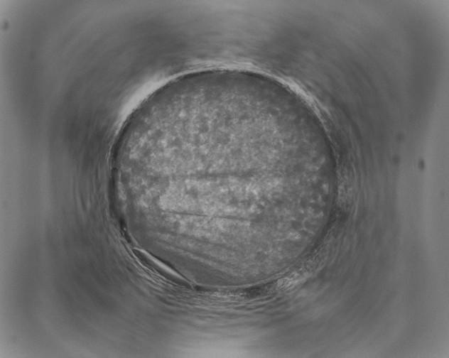 X0000087061271200705091151