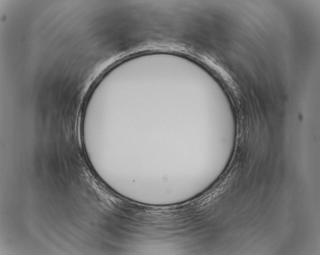 X0000087061272200705091151