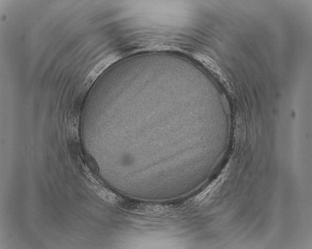 X0000087061273200705091151