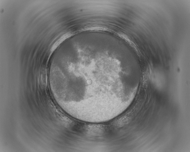 X0000087061274200705091151