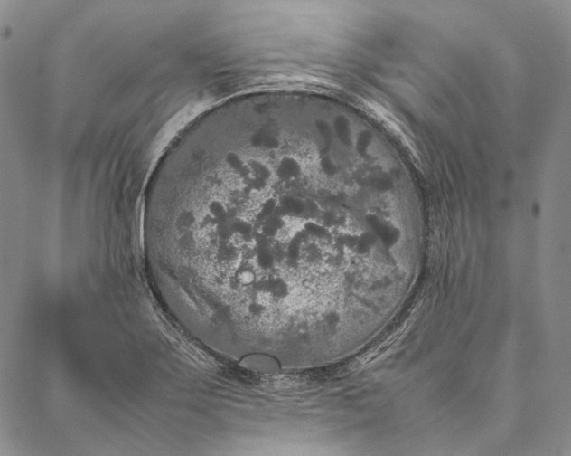 X0000087061275200705091151