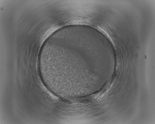 X0000087061277200705091151