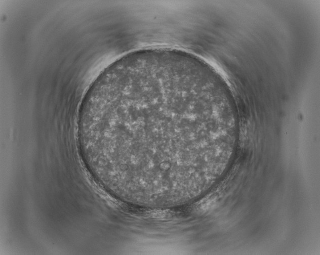 X0000087061279200705091151