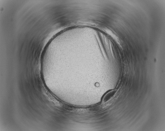 X0000087061280200705091151