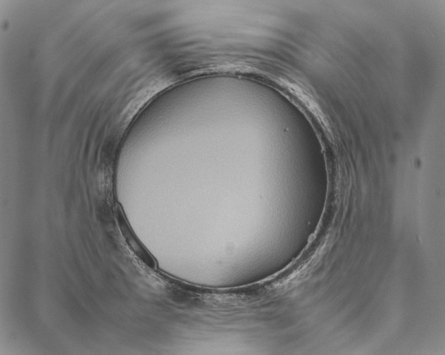 X0000087061281200705091151