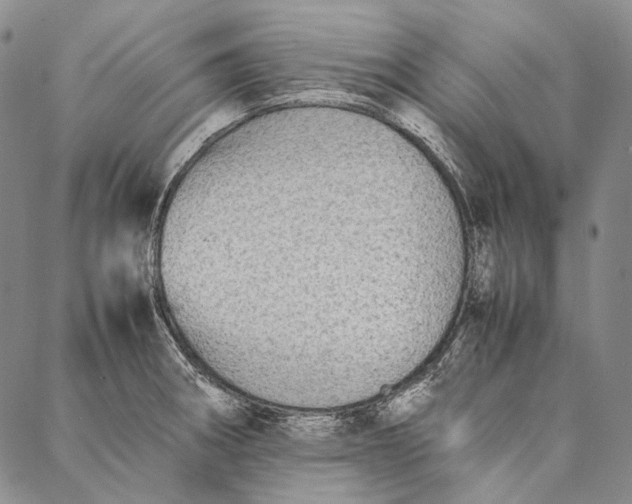 X0000087061282200705091151