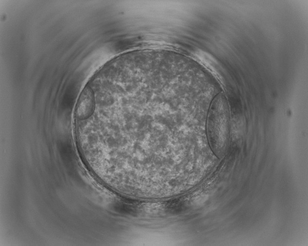 X0000087061283200705091151