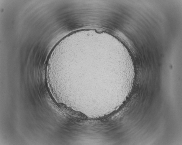 X0000087061284200705091151