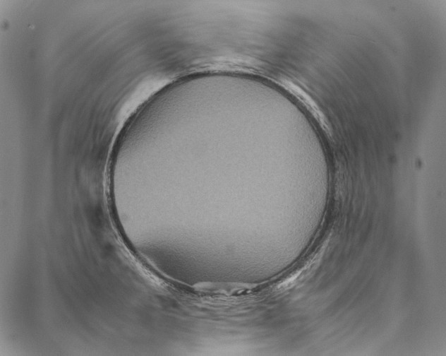 X0000087061285200705091151