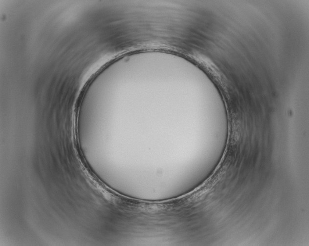 X0000087061286200705091151