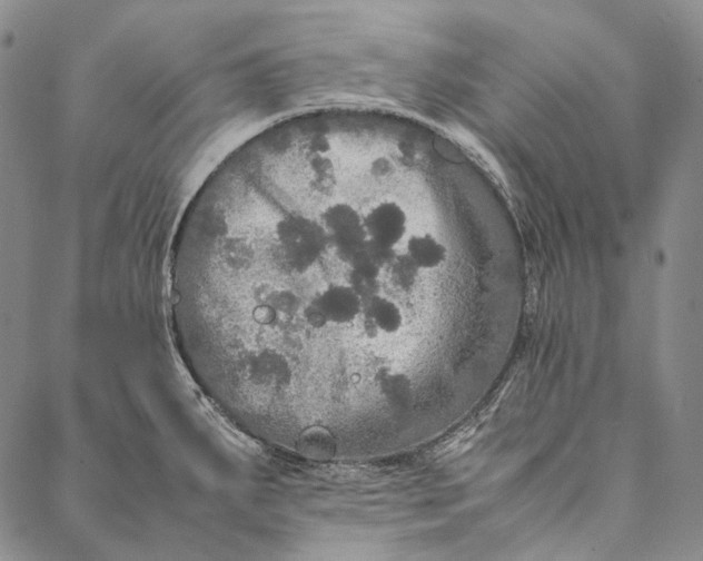 X0000087061287200705091151