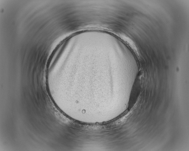 X0000087061288200705091151