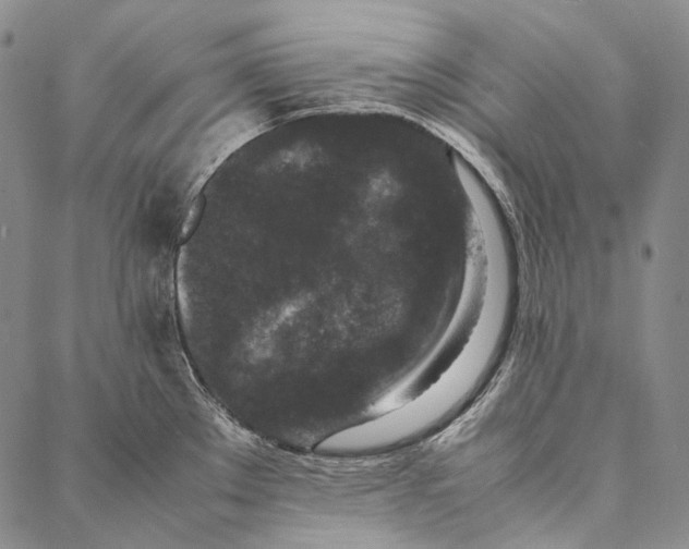 X0000087061289200705091151