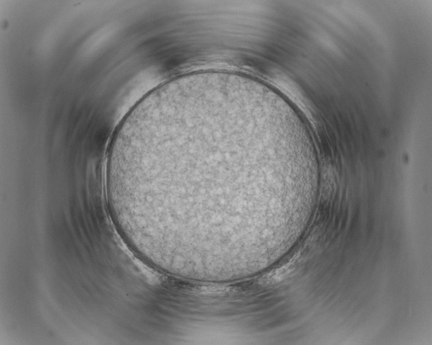 X0000087061290200705091151