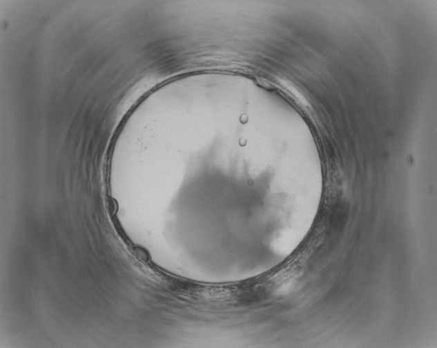 X0000087061291200705091151